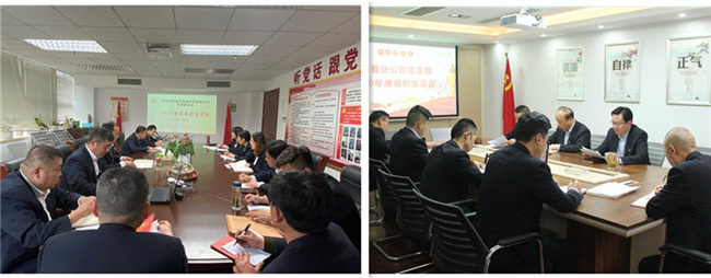 6008集团官方网站(中国)股份有限公司