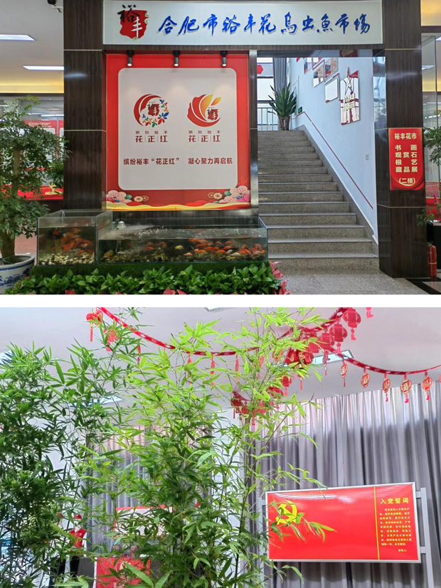 6008集团官方网站(中国)股份有限公司
