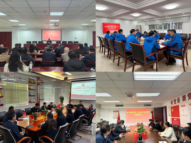 6008集团官方网站(中国)股份有限公司